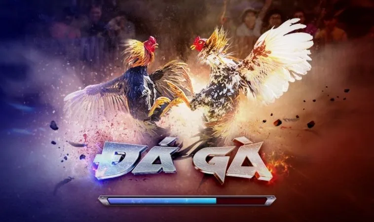 Bí Kíp Chơi Đá Gà 3D Tại Gold88 Thắng Lớn Ngay Hôm Nay 1 Đá Gà 3D Tại Gold88