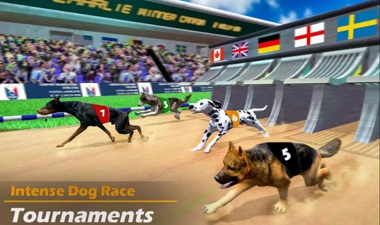 Thử Thách Vận May Với Game Nhanh Đua Chó Tại Gold88 Uy Tín 2 Cách chơi game nhanh Đua Chó Tại Gold88