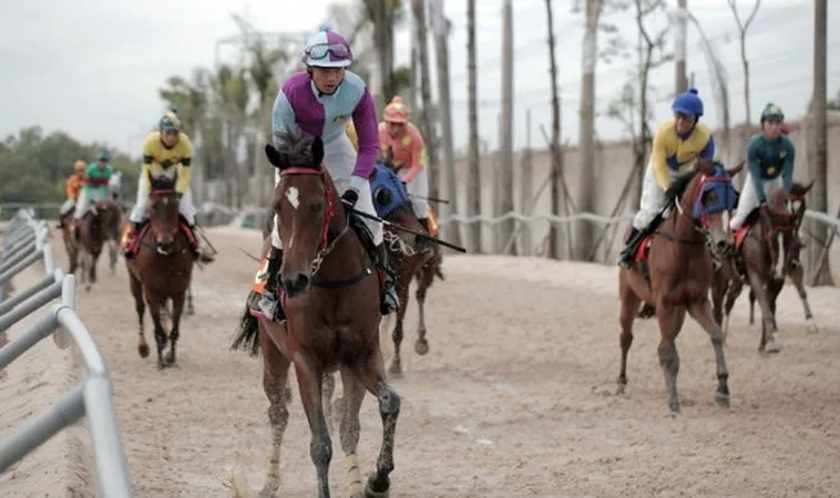 Nắm Bắt Cơ Hội Vàng Từ Cá Cược Đua Ngựa Gold88 Ngay Hôm Nay 2 Cần tìm hiểu kỹ về bộ môn Đua Ngựa Gold88 trước khi cá cược