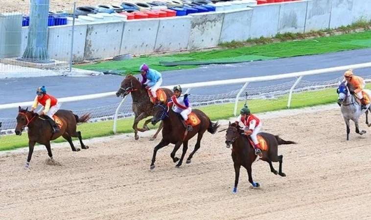 Nắm Bắt Cơ Hội Vàng Từ Cá Cược Đua Ngựa Gold88 Ngay Hôm Nay 1 Đua Ngựa Gold88